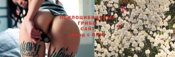 соль ск Алексин