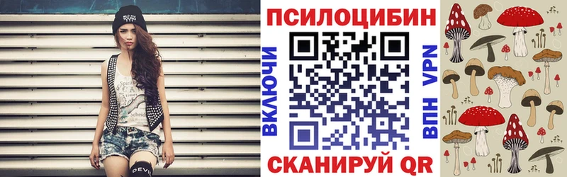 купить   Бологое  Галлюциногенные грибы прущие грибы 